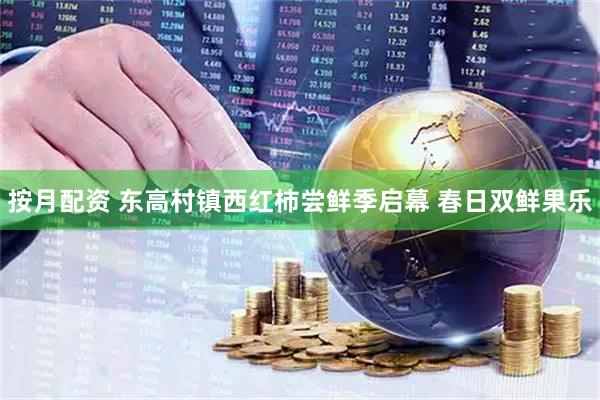 按月配资 东高村镇西红柿尝鲜季启幕 春日双鲜果乐